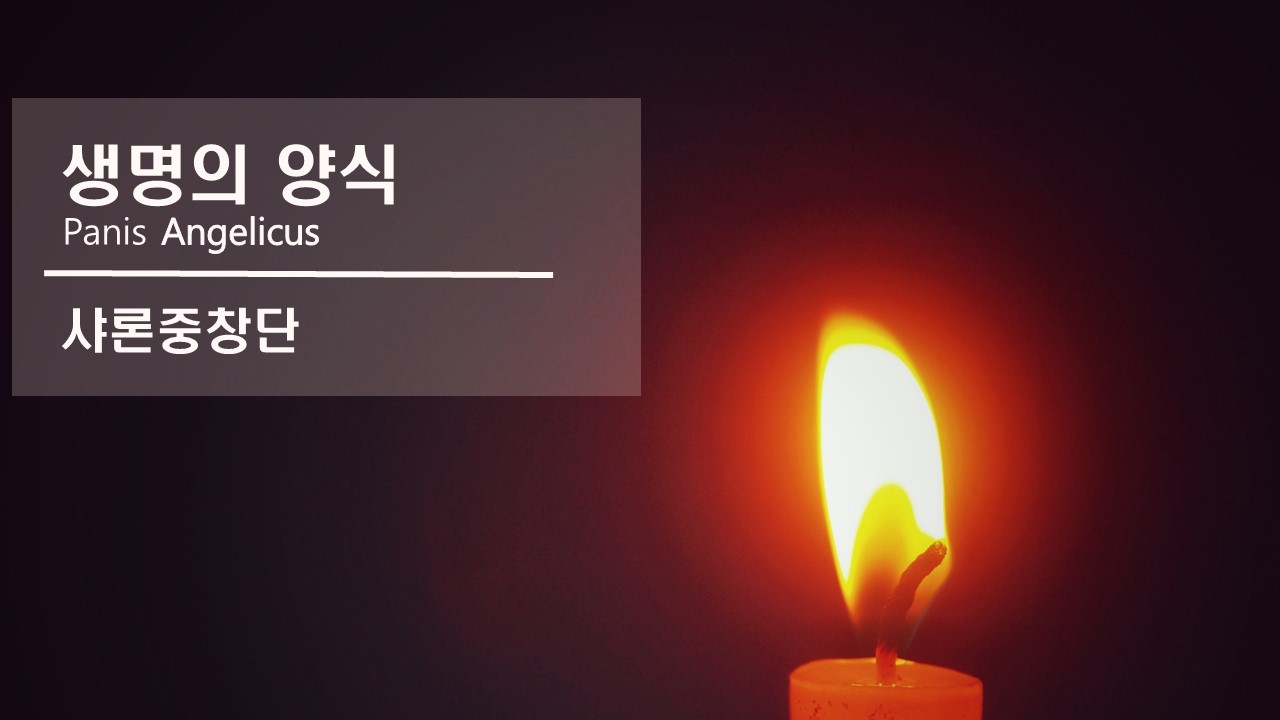 [성가 중창]｜생명의 양식｜Panis Angelicus｜샤론중창단 ｜대구 아회아트홀