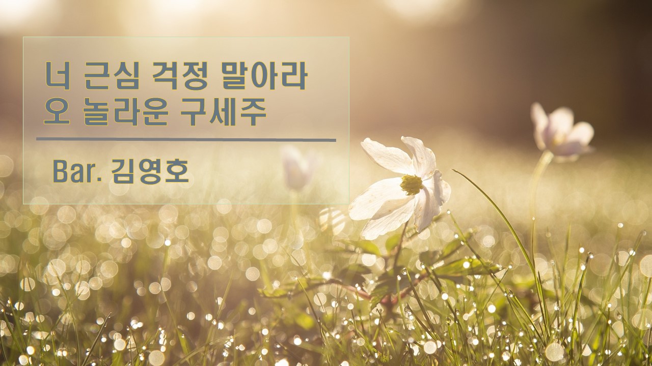 [찬송 공연 실황] 너 근심 걱정 말아라 | 오 놀라운 구세주 | Bar. 김영호 | 제1...