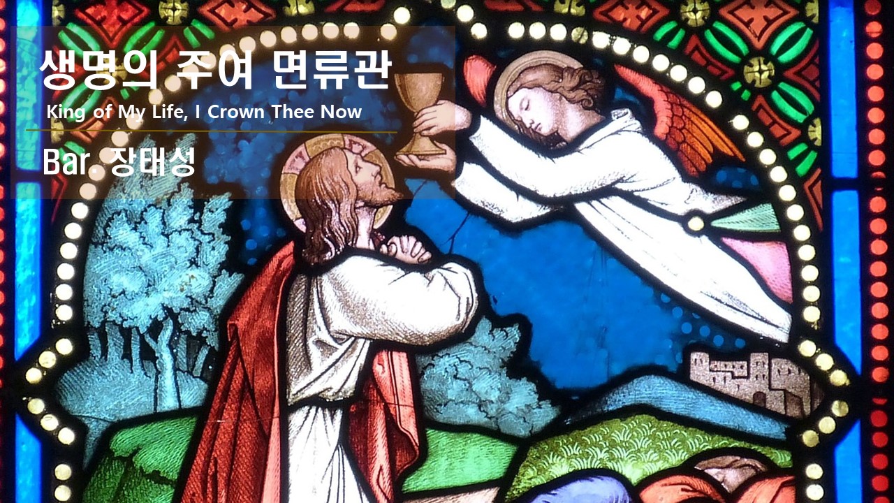 [찬송 Solo]｜생명의 주여 면류관｜King of My Life, I Crown Thee...