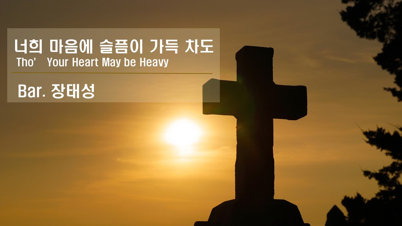 [찬송 Solo]｜너희 마음에 슬픔이 가득 차도｜Tho Your Heart May be H...