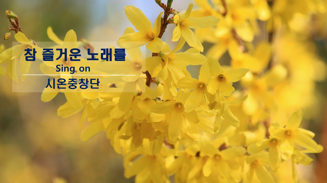 [찬송 중창]｜시온 중창단｜참 즐거운 노래를｜Sing on ｜대구 아회아트홀 ｜찬송의 밤 ...
