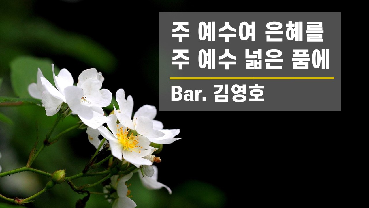 [찬송공연 실황] 주 예수여 은혜를(Heart Longings) | 주 예수 넓은 품에 (...