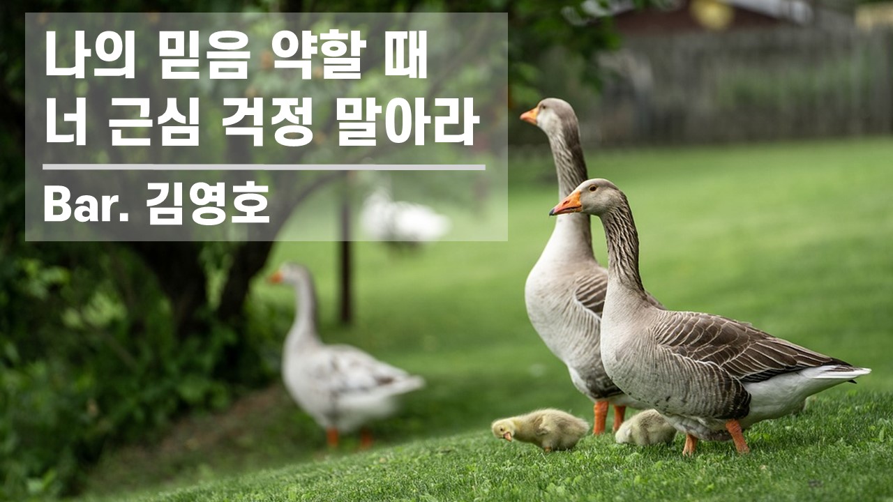 [찬송공연 실황] 나의 믿음 약할 때 | 너 근심 걱정 말아라 | Bar. 김영호 | 「찬...